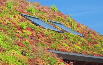 Balk Field living roof systems
